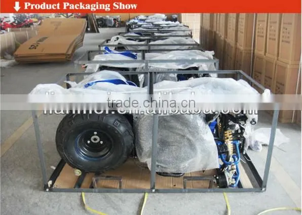 2015 hot cheap sale Mini gas snow scooter with CE