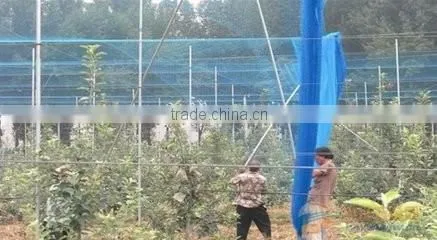 plastic BOP netting as Fruit cage/Anti bird net/Plant protection net