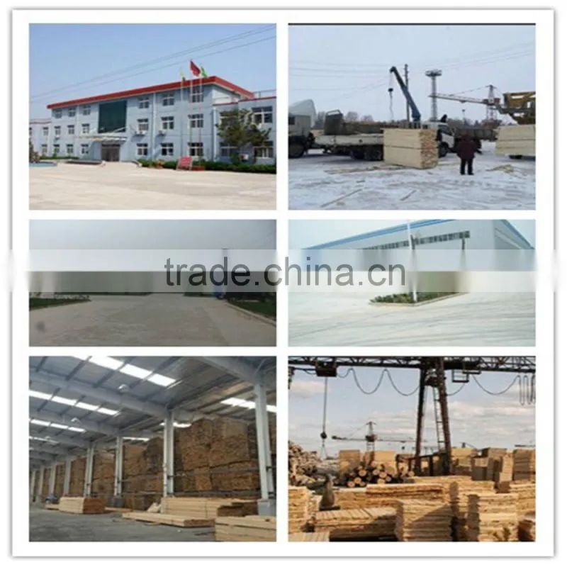 southern yellow pine logs