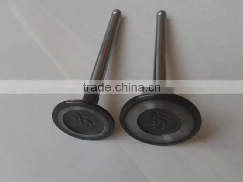 cheap price walking tractor Z170F engine valve for diesel engine