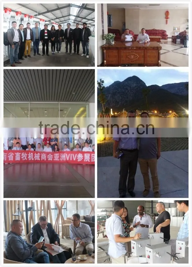 2*0.6m gestation crate/pig gestation cages for sow