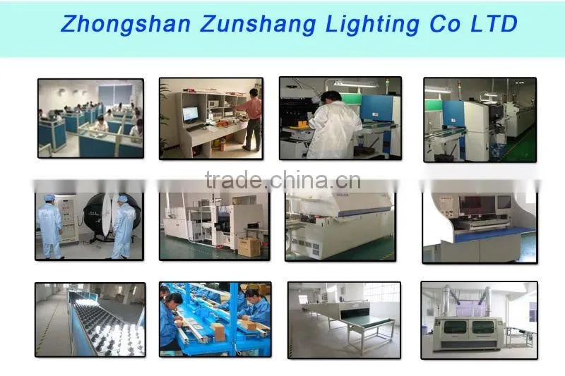 220v Globe fluorescent light bulb