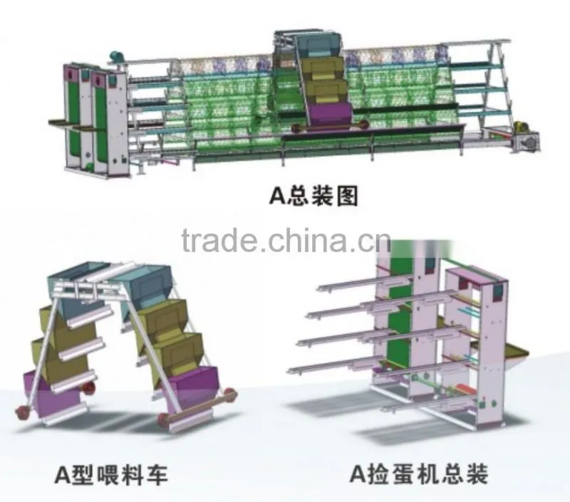 automatic environmental controlled chicken farms construction