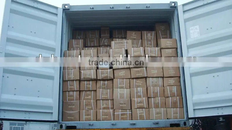 low price galvanised roofing nails with umbrella head