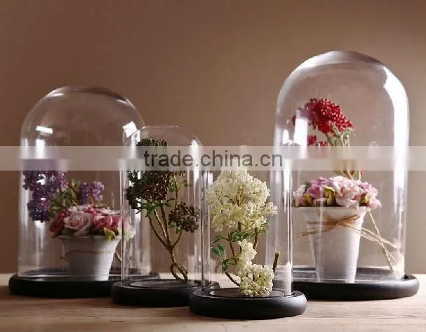 Wholesale clear glass bell jar with wooden base, high quality glass bell jar dome manufacture
