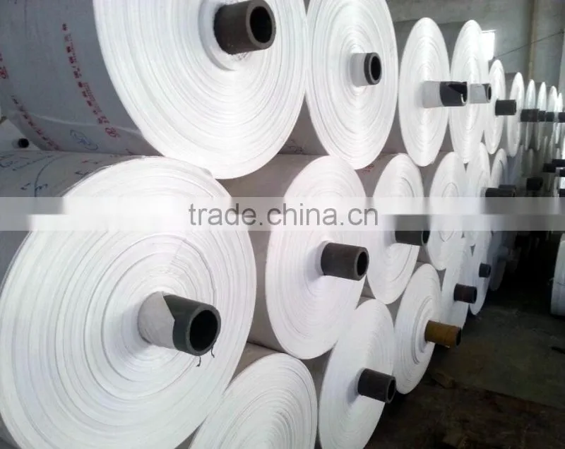 Pp fabric Woven Sack Roll/pp woven fabrics/pp woven rolls