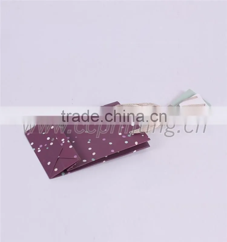 2016 New Luxury Shopping Paper Bag for Cloth