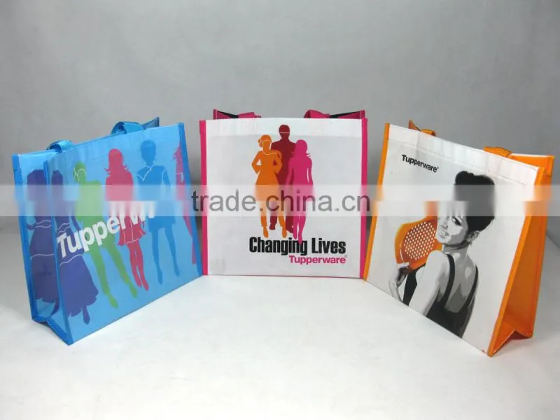 BSCI audit factory eco bag supplier/non woven bags printing/non woven bag