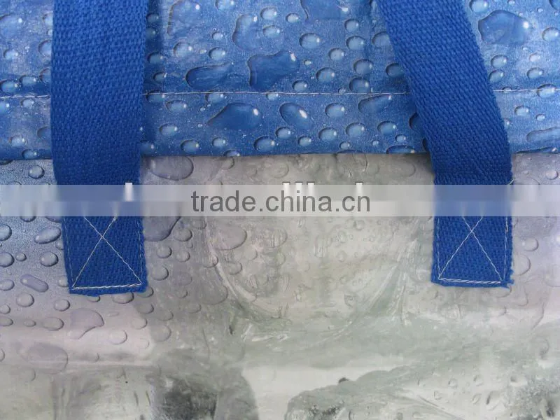 bagged ice storage box