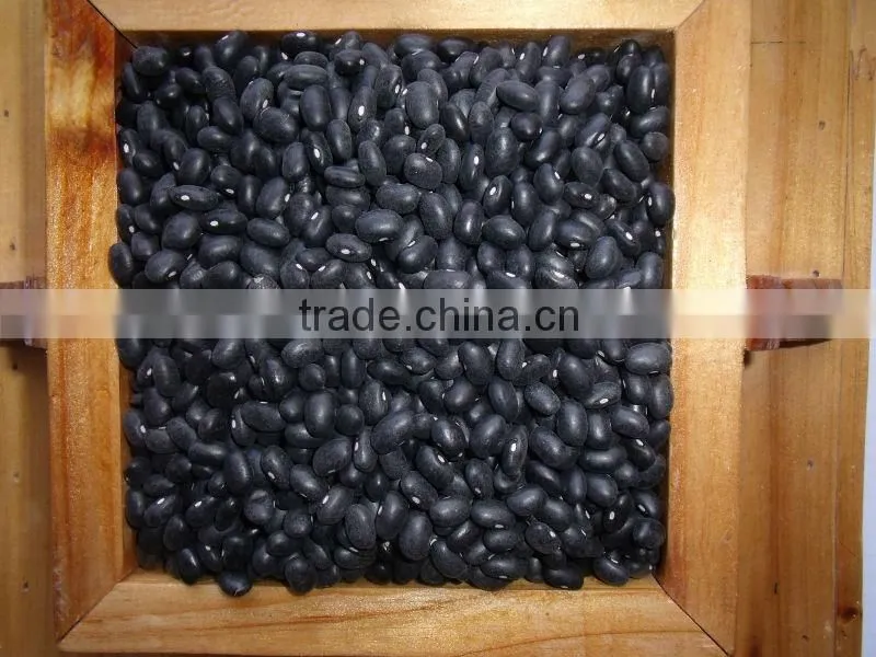 small black kidney bean /black bean price