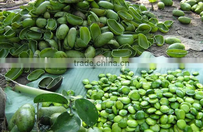 Griffonia Seed Extract