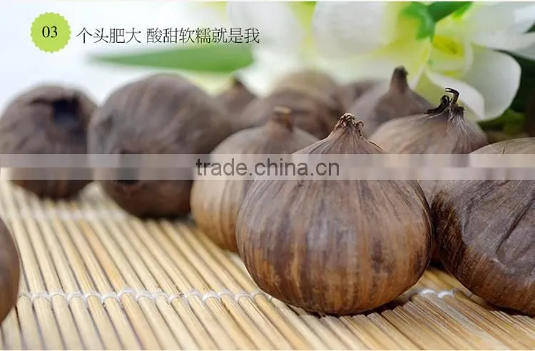 Hot selling chinese black garlic Japanese technology