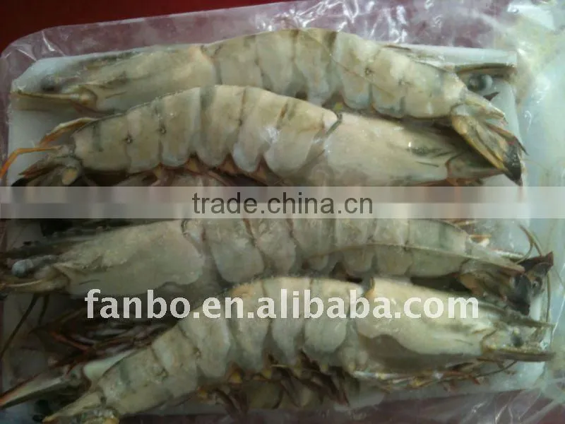 Black tiger shrimp(new coming )