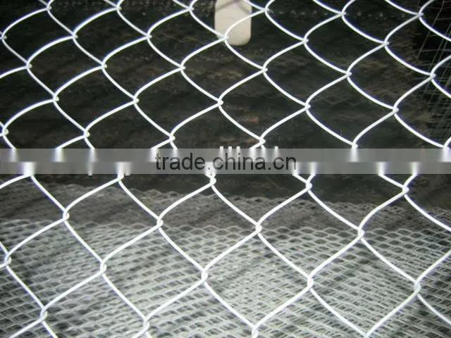 chain link fencing/(factory)/2014 hot sales