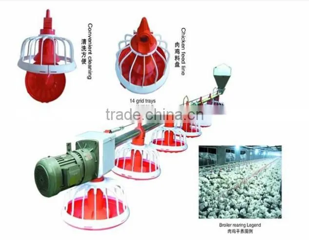 china poultry feeding machine price/automatic poultry feeding machine with price for sale