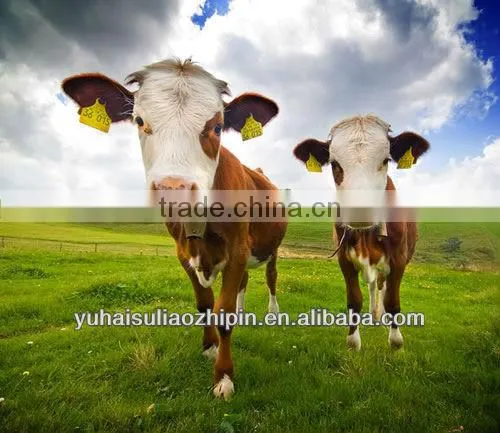 PU material sheep ear tag