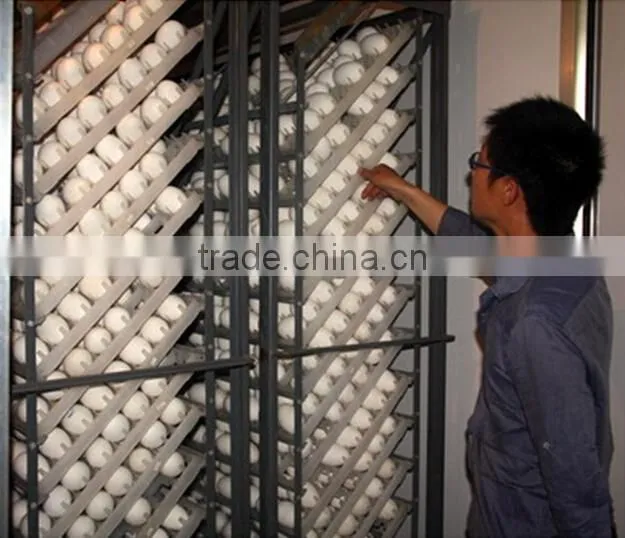 Dezhou cheap large capacity 20000 eggs automatic egg incubator
