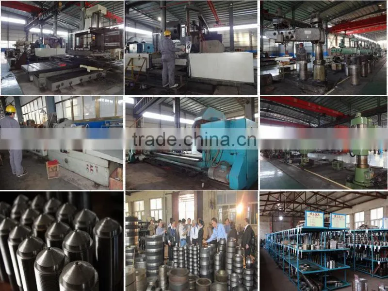 Sinking fish feed poultry feed pellet machinery
