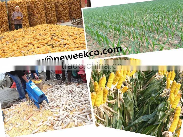 Neweek home simple electric corn machine mini maize thresher