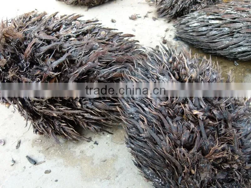 fiber extractor machine made in China to process coconut husks and oil palm empty fruit bunches