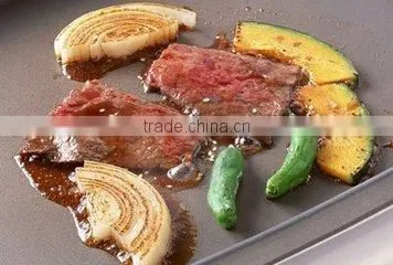 stainless steel gas frytop