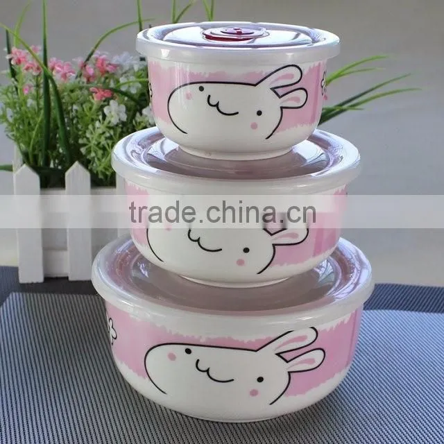 ceramic bowls with airtight lid