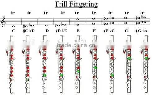 Professional 16 closed hole in line G key flute in C key