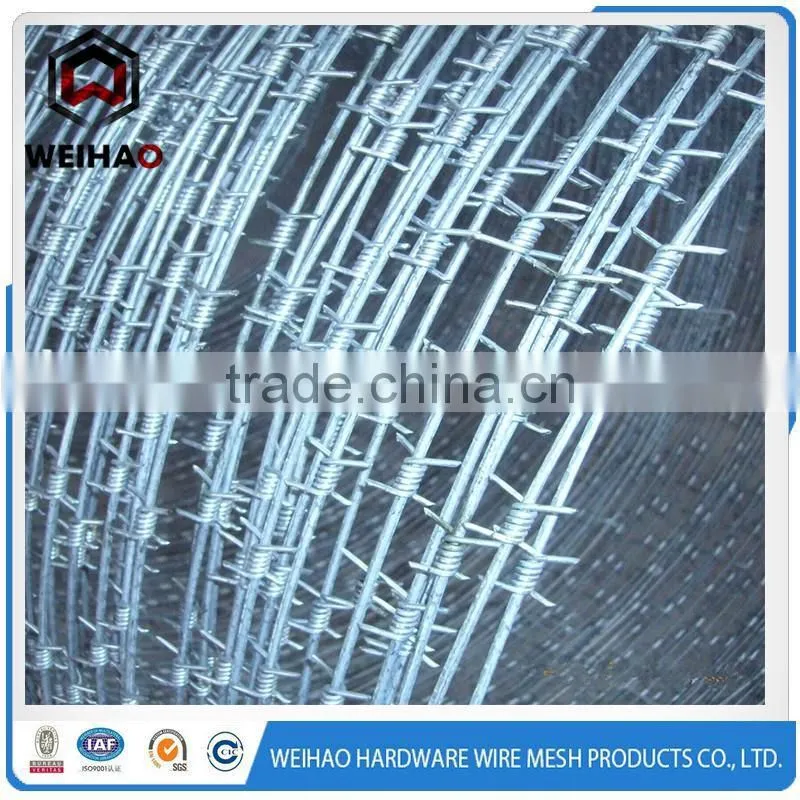 NEW PRODUCT !! security facility barbed wire with FACTORY price