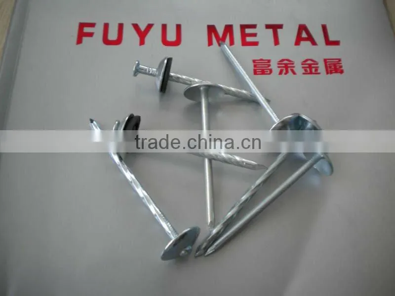 electro galvanized twisted shank roofing nails