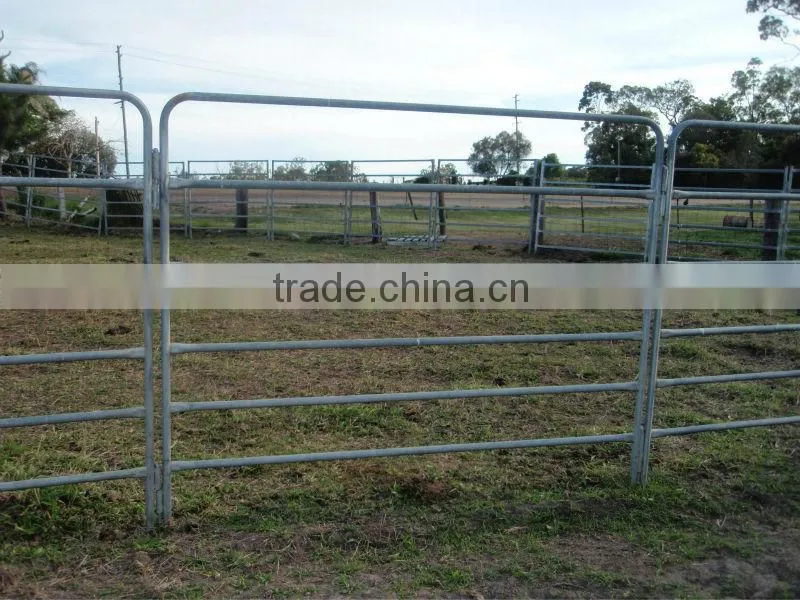 galvanised 40x40 SHS RAIL cattle panel