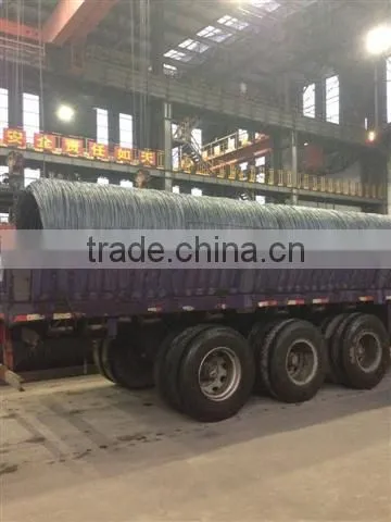 Hot selling hot rolled SAE 1018B low carbon steel 6.5mm wire rods