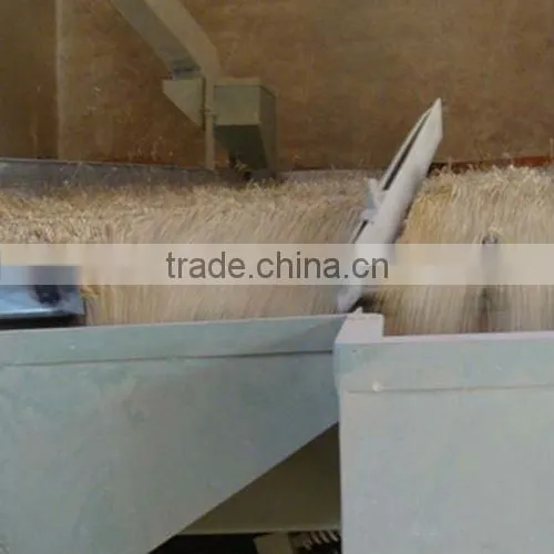 crop2015 Chinese Lenils of Price