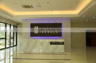 Wuxi Thunder Microelectronics Co., Ltd. company overview - view 1