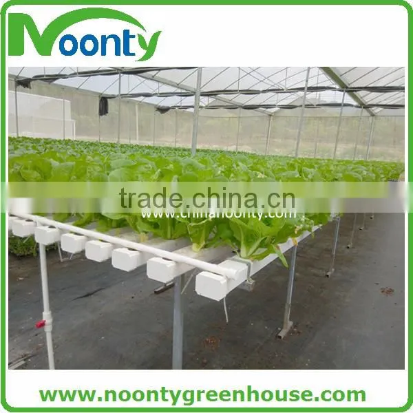 Hydroponics Greenhouse