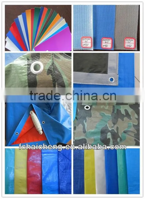 Birthday tarpaulin printing size for PE tarpaulin buyer