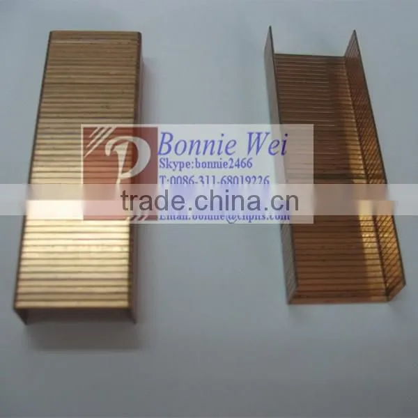 Hot Selling Office Galvanized staple