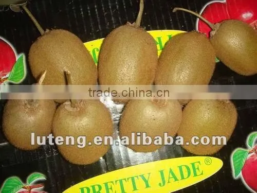 2016 new crop chinese fresh kiwi fruits with good quality