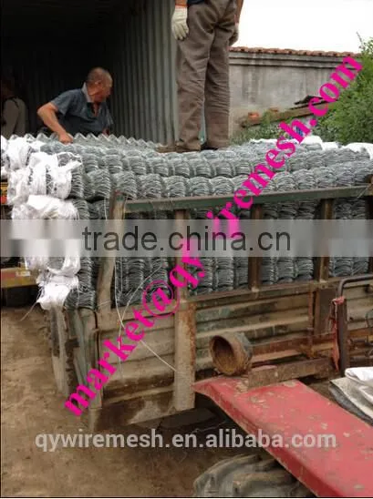 Alibaba Verified China Factory Popular Perimeter fence/Chain Link Fence top barbed wire/cyclone fence