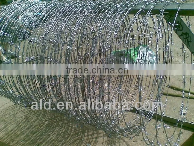 2014 ISO9001:200010#-18# Galvanized Wall Spikes securityMesh( Manufacturer )