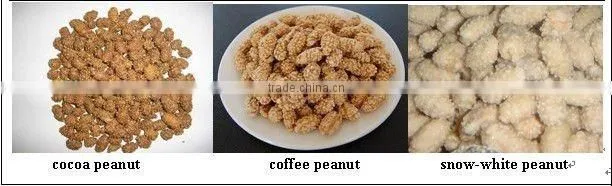 GCJ cocoa peanut coating machine