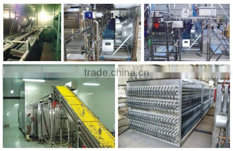 Gold supplier frozen french fries machinery