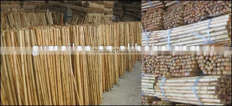 smooth varnishing wooden broom handles/painted wooden broom stick