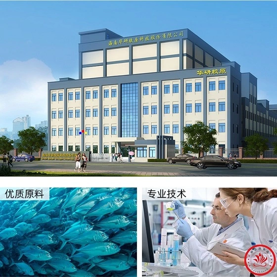 Hainan Huayan Collagen Technology Co.,Ltd. company overview - view 1