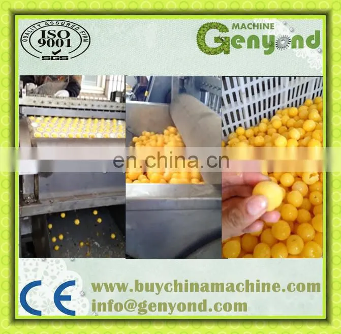 Small type cherry pitting machine mini cherry seed removing machine with factory price