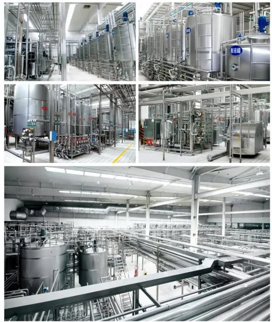 1000L Per Hour Pasteurized/UHT Milk Processing Line Plant