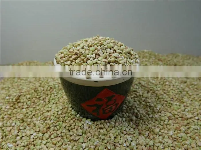 high quality hot sale black bitter buckwheat for tea (Fagopyrum esculentum)