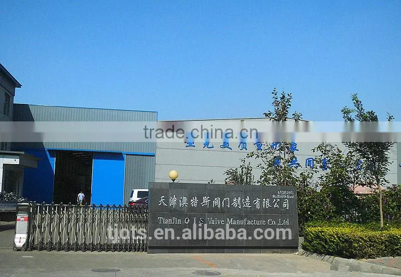 BV-DS021 API/CE/DIN/KS/JIS disc of butterfly valve DN 40-2200mm