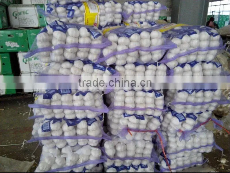 2016 New Crop Chinese Red Garlic