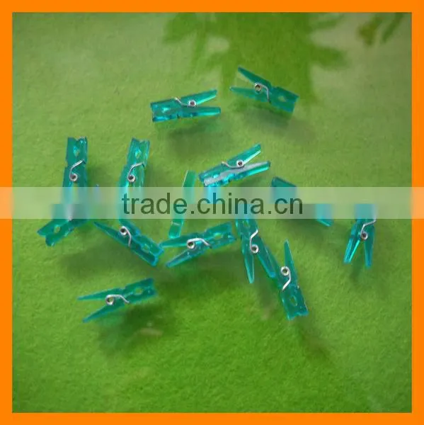 Transparent Plastic Peg