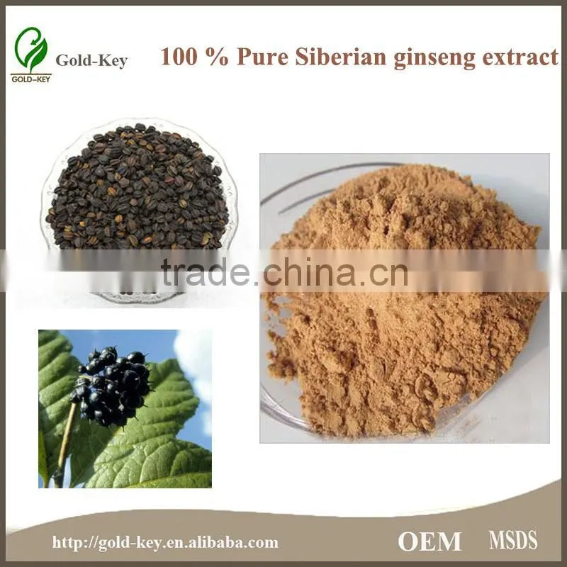 Natural Herb Siberian Ginseng Extract Powder